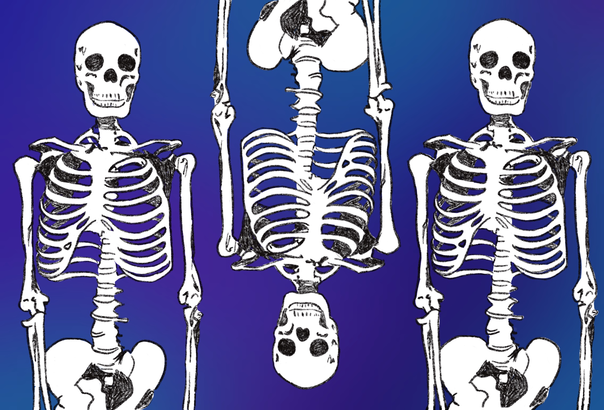 skeletons